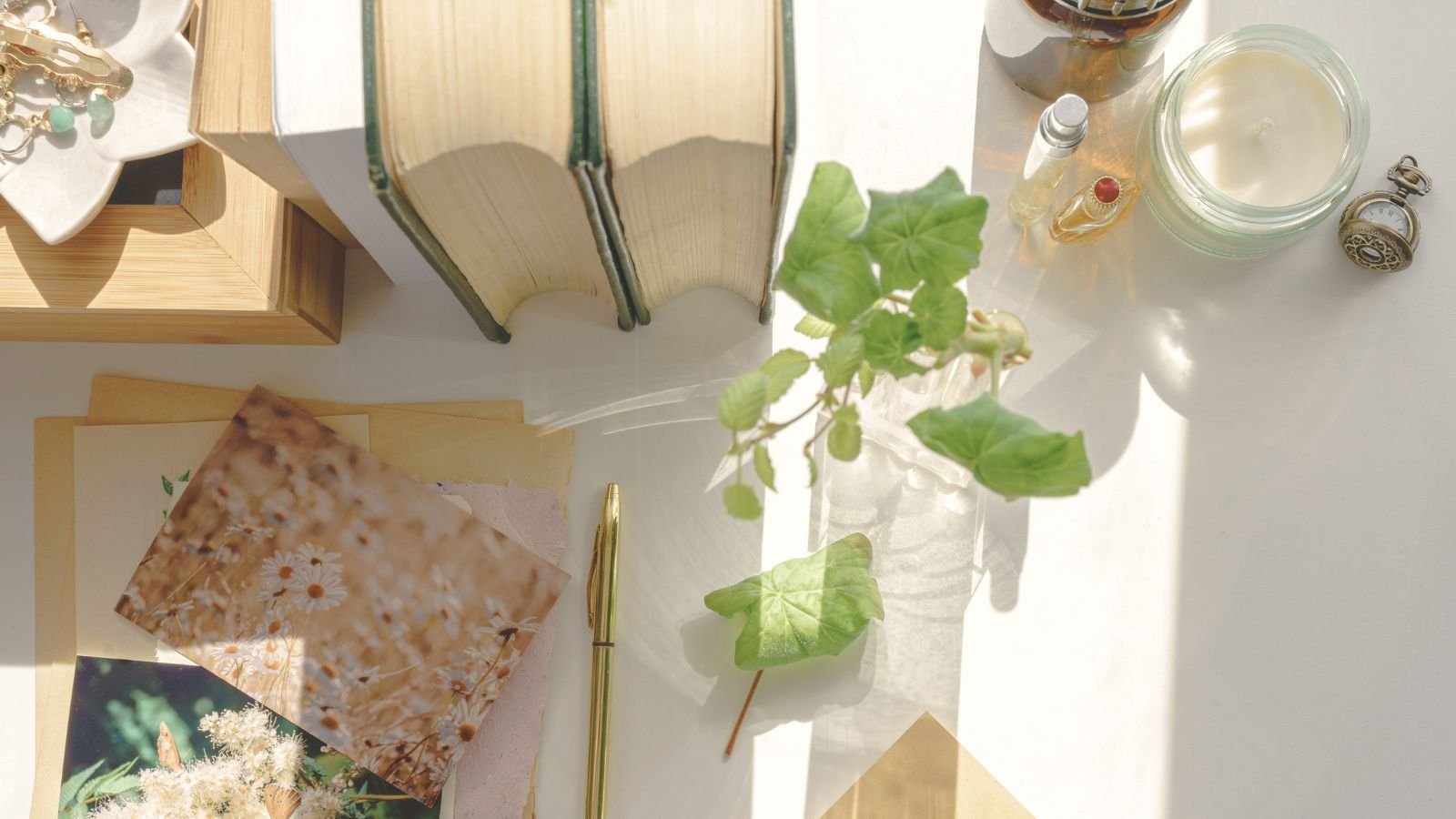 Cottagecore in the City: How Busy Urbanites Can Embrace Simple Living