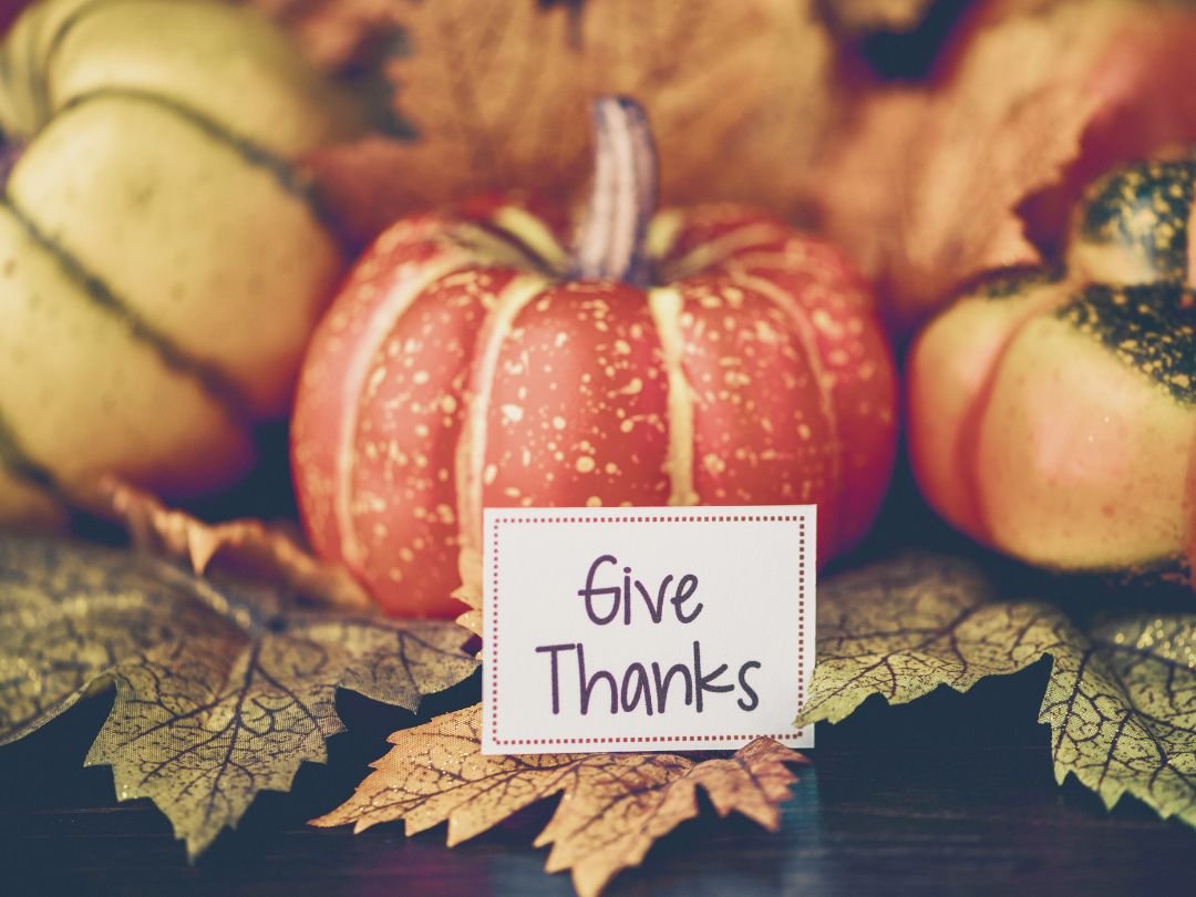 How I Ditched My Negativity: The Surprising Power of Gratitude